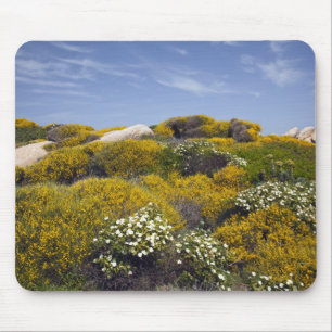 Italy, Sardinia, Santa Teresa Gallura. Capo 3 Mouse Pad