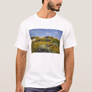 Italy, Sardinia, Santa Teresa Gallura. Capo 3 T-Shirt