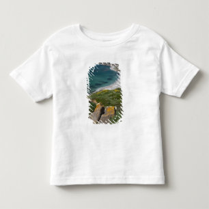 Italy, Sardinia, Tharros. View from the Spanish Toddler T-Shirt