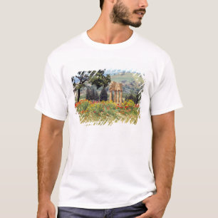 Italy, Sicily, Agrigento. The ruins of the T-Shirt