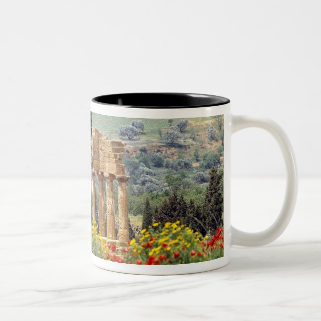 Italy, Sicily, Agrigento. The ruins of the Two-Tone Coffee Mug (Right)
