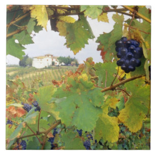 Italy, Tuscany Farmhouse viewed through Tile