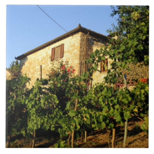 Italy, Tuscany, Greve. Late summer wine scenes Ceramic Tile