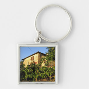 Italy, Tuscany, Greve. Late summer wine scenes Key Ring