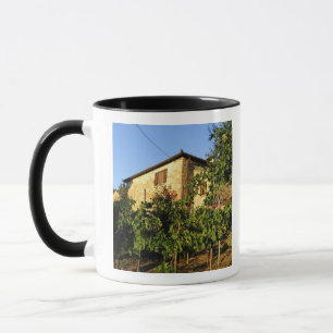 Italy, Tuscany, Greve. Late summer wine scenes Mug