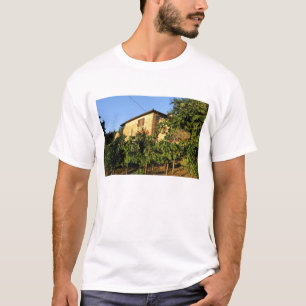 Italy, Tuscany, Greve. Late summer wine scenes T-Shirt