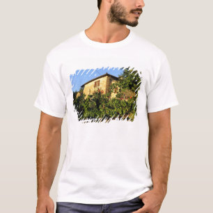 Italy, Tuscany, Greve. Late summer wine scenes T-Shirt