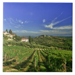 Italy, Tuscany, Greve. The vineyards of Castello Ceramic Tile