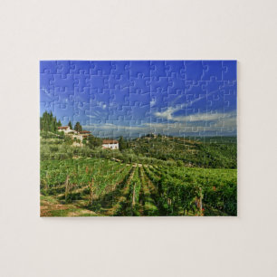 Italy, Tuscany, Greve. The vineyards of Castello Jigsaw Puzzle