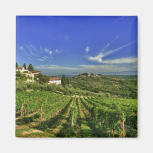 Italy, Tuscany, Greve. The vineyards of Castello Magnet