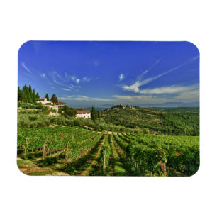 Italy, Tuscany, Greve. The vineyards of Castello Magnet