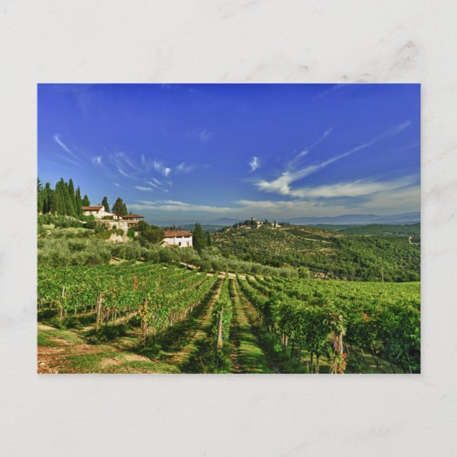 Italy, Tuscany, Greve. The vineyards of Castello Postcard (Front)