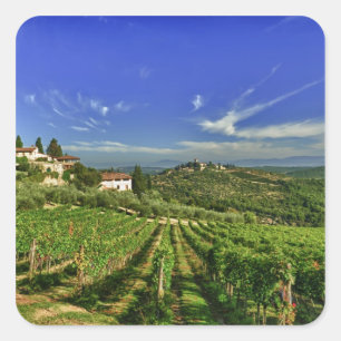 Italy, Tuscany, Greve. The vineyards of Castello Square Sticker