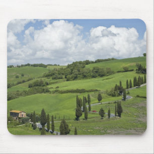Italy, Tuscany. La Foce. A curved road winds up Mouse Pad