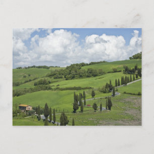 Italy, Tuscany. La Foce. A curved road winds up Postcard