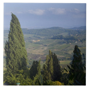 Italy, Tuscany, Montepulciano. View of the Ceramic Tile