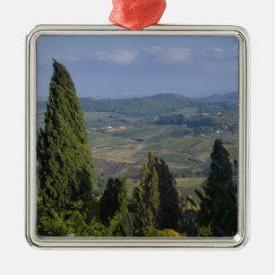 Italy, Tuscany, Montepulciano. View of the Metal Tree Decoration
