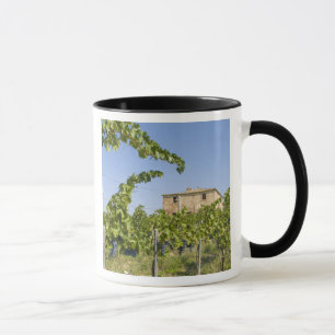 Italy, Tuscany, Montepulciano. Wine grapes ready Mug