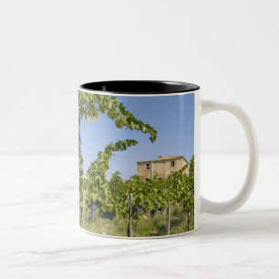 Italy, Tuscany, Montepulciano. Wine grapes ready Two-Tone Coffee Mug