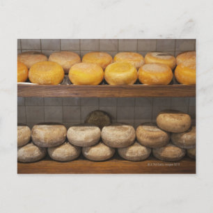 Italy. Tuscany. Pienza. 3 Postcard