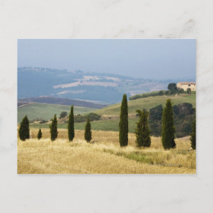 Italy. Tuscany. Pienza. Postcard
