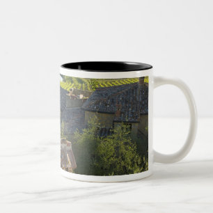 Italy, Tuscany. Roofop view of the villa Two-Tone Coffee Mug