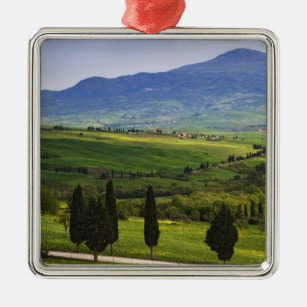 Italy, Tuscany. Scenic of the Tuscan Metal Tree Decoration