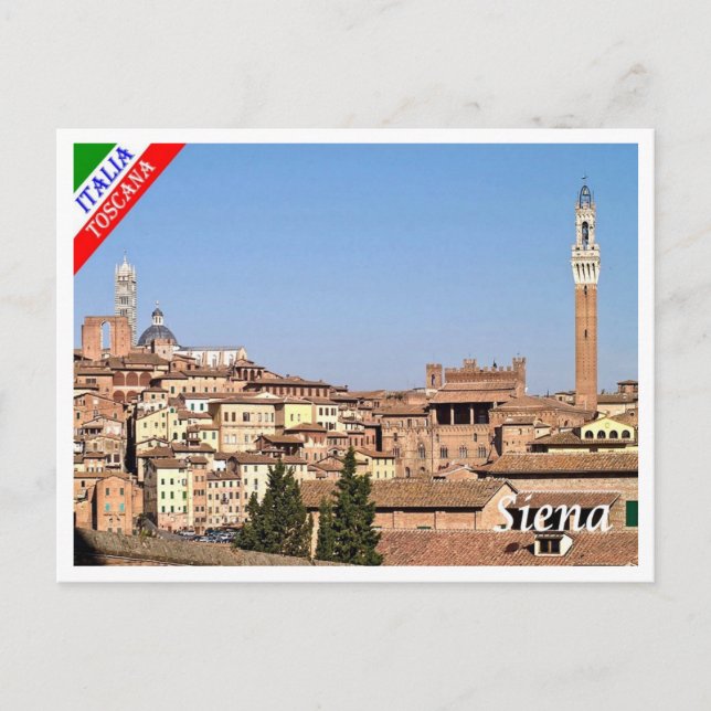 Italy - Tuscany - Siena - Postcard (Front)