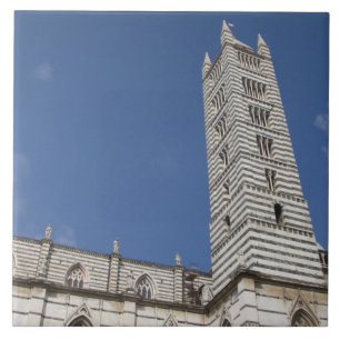Italy, Tuscany, Siena. The Duomo. Tile