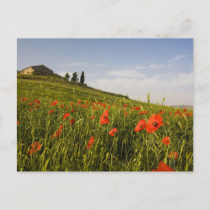 Italy, Tuscany, Tuscan Villa in Spring With Postcard