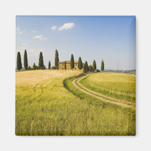Italy, Tuscany, Tuscan Villa nearing Harvest. Magnet