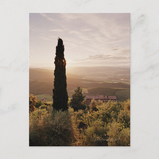 Italy,Tuscany,Val d'Orcia,Montalcino Postcard (Front)