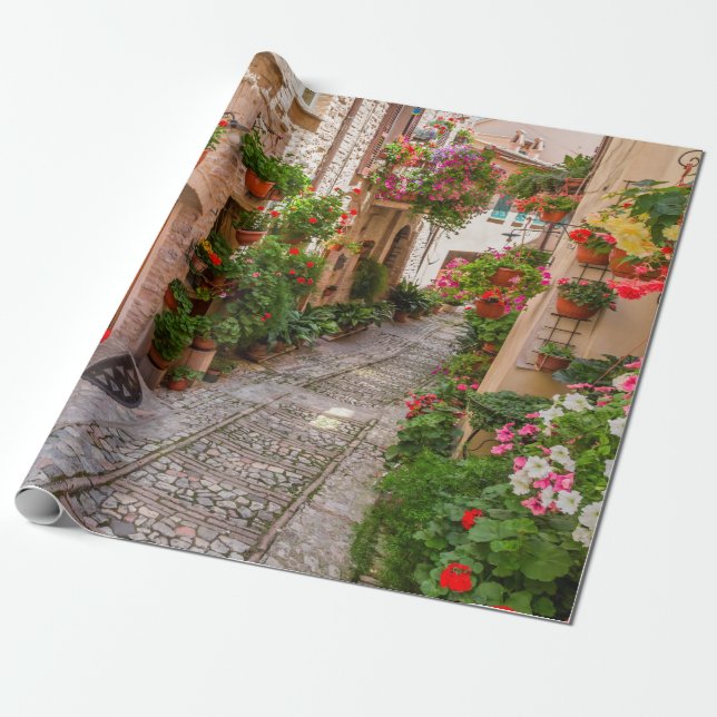Italy Tuscany Wrapping Paper (Unrolled)