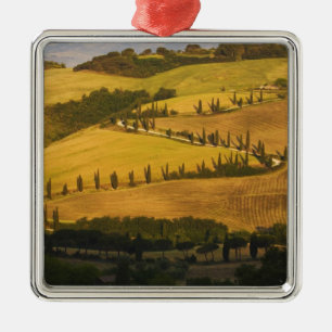 Italy, Tuscany, ZigZag Road in Tuscany. Metal Ornament