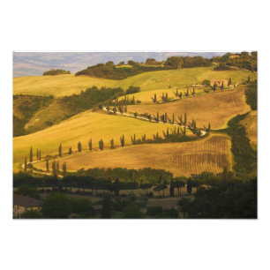 Italy, Tuscany, ZigZag Road in Tuscany. Photo Print