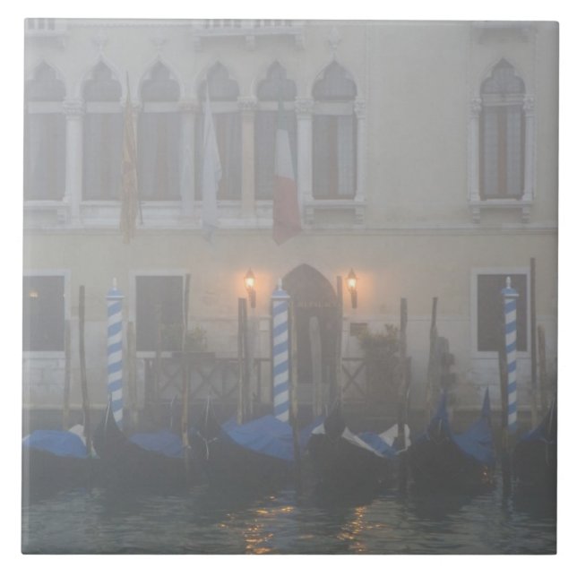 Italy, Venice. A row of gondolas seen through Ceramic Tile (Front)