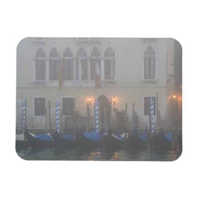 Italy, Venice. A row of gondolas seen through Magnet (Horizontal)