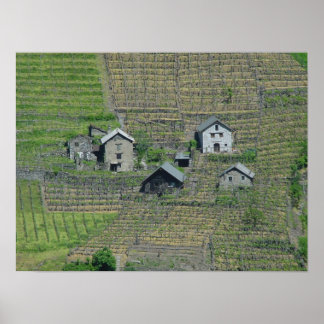 Italy Wine Fields Poster