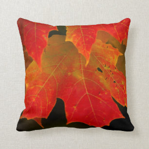 Itasca State Park, Fall Colours 2 Cushion