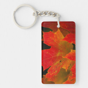Itasca State Park, Fall Colours 2 Key Ring