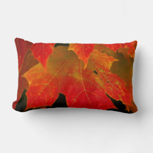 Itasca State Park, Fall Colours 2 Lumbar Cushion