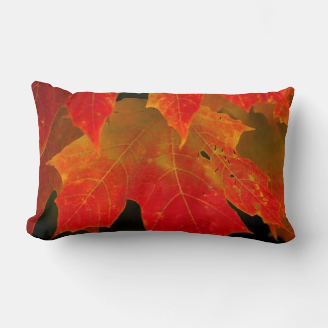Itasca State Park, Fall Colours 2 Lumbar Cushion (Front)