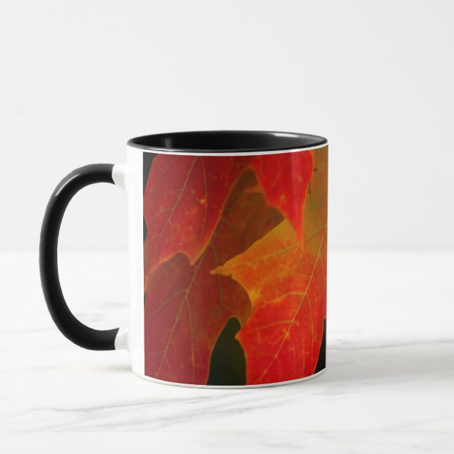 Itasca State Park, Fall Colours 2 Mug (Left)