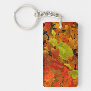 Itasca State Park, Fall Colours Key Ring