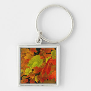 Itasca State Park, Fall Colours Key Ring