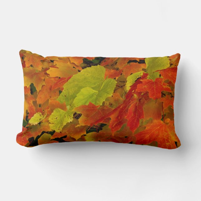 Itasca State Park, Fall Colours Lumbar Cushion (Front)
