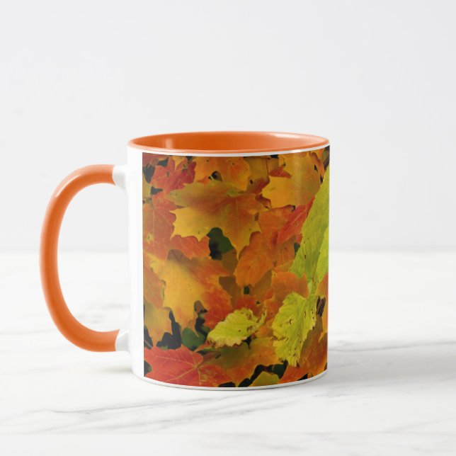 Itasca State Park, Fall Colours Mug (Left)