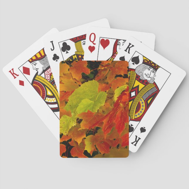 Itasca State Park, Fall Colours Playing Cards (Back)