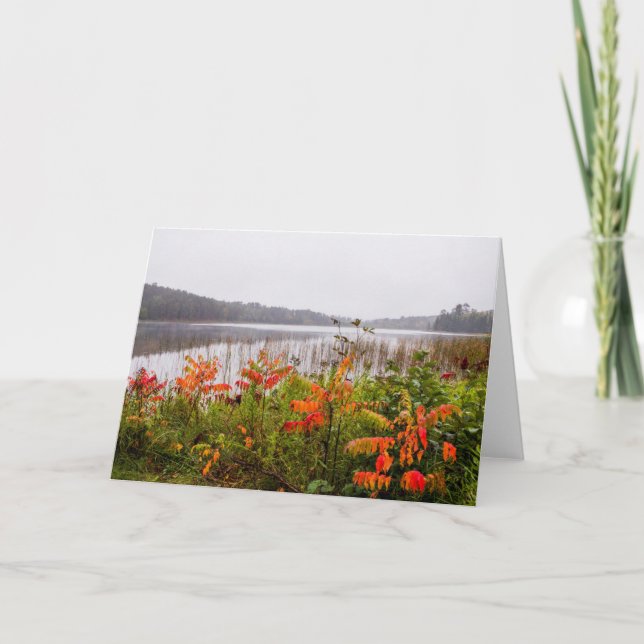 Itasca State Park | Minnesota Card (Front)