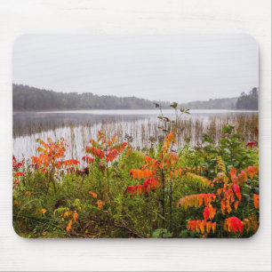 Itasca State Park   Minnesota Mouse Pad